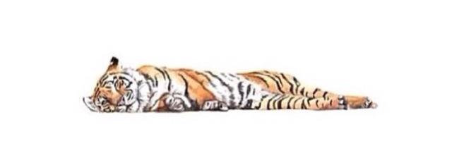 ريما banner