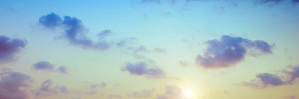 Cryptochickmagicdragon banner