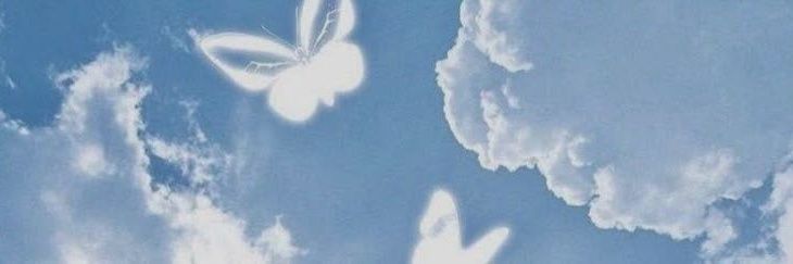 anaa banner