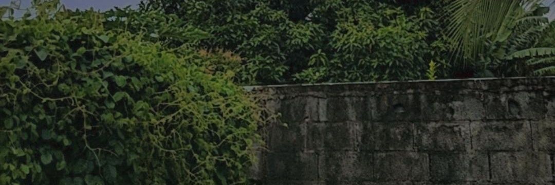 Lapbit7's profile banner image