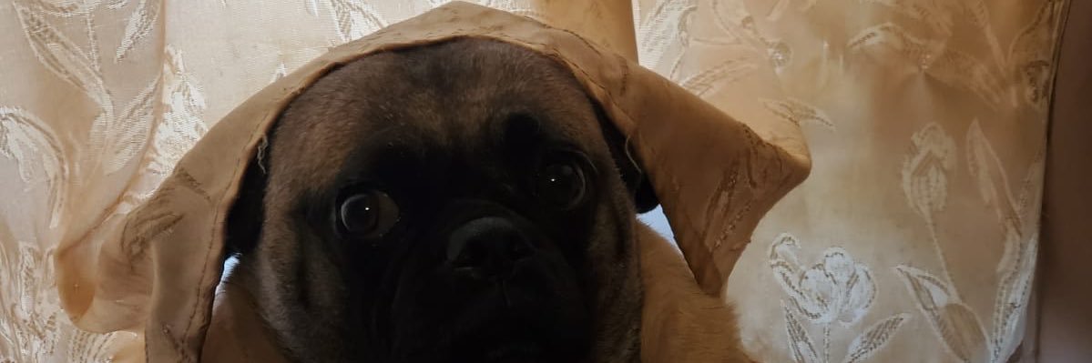 _traceeeyy's profile banner image