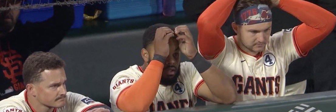 Buster’s Flag Bag 🧡🖤🍉🇩🇴 banner