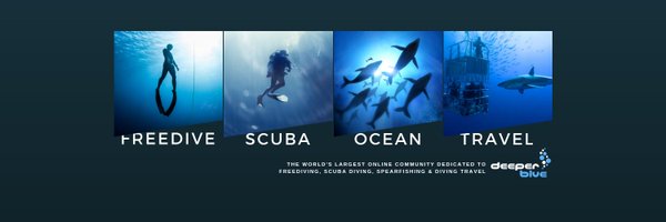 deeperblue Profile Banner