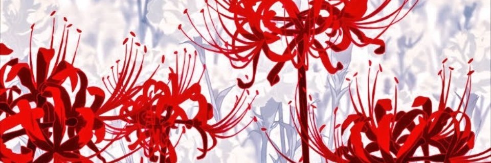 PocketYuu's profile banner image