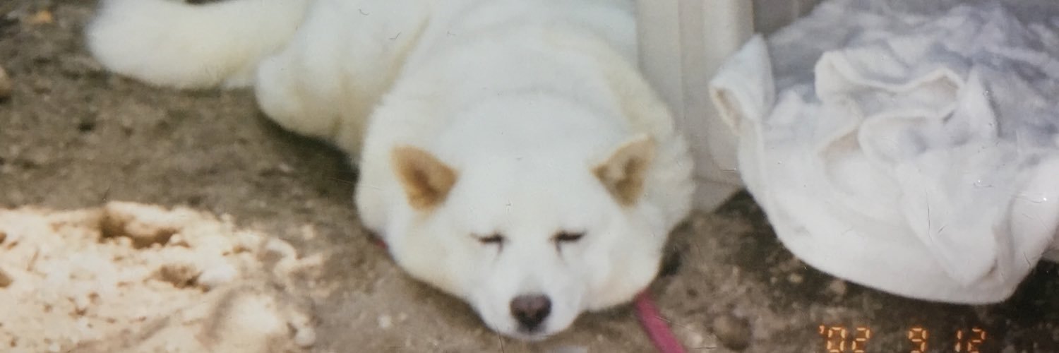 junusi129's profile banner image
