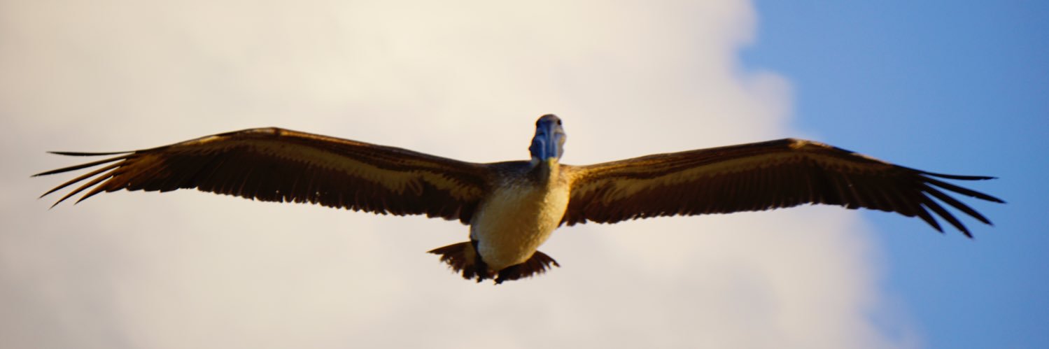 The wide Missouri... banner
