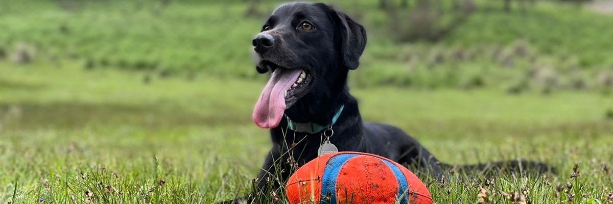 aylen88_'s profile banner image