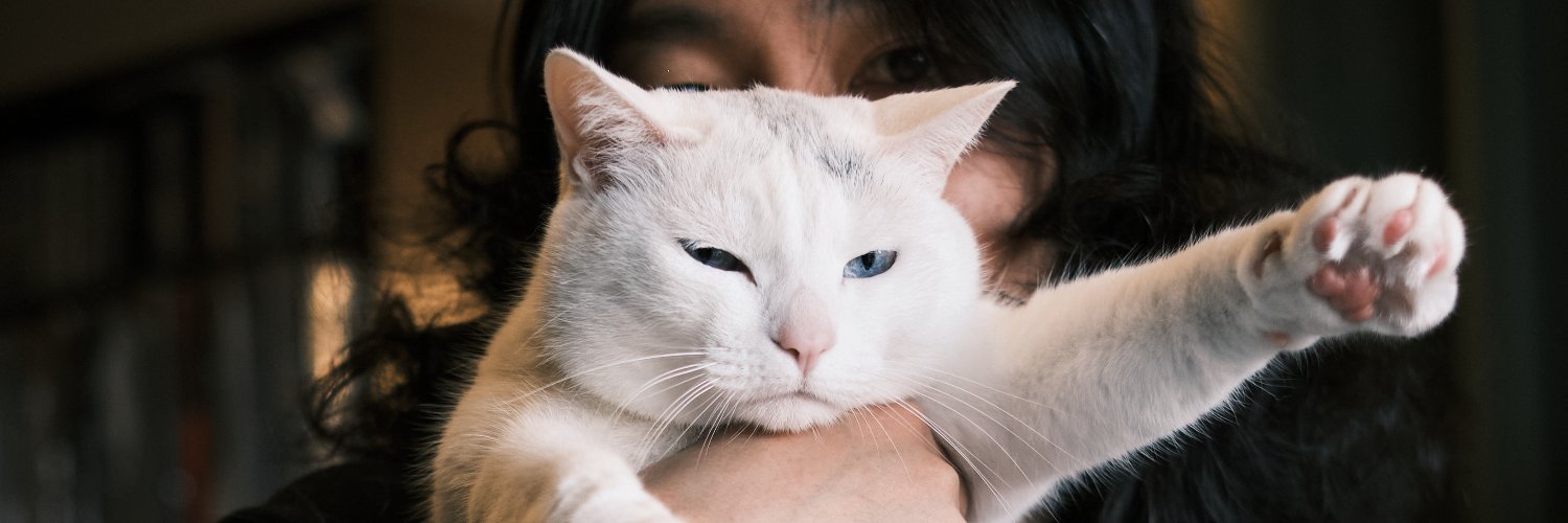 KOENMA_CATBACK's profile banner image