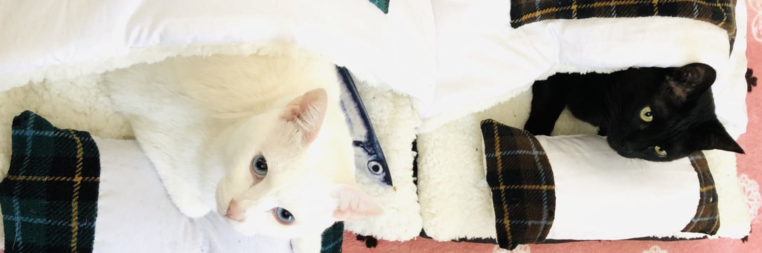 ranevoko06's profile banner image
