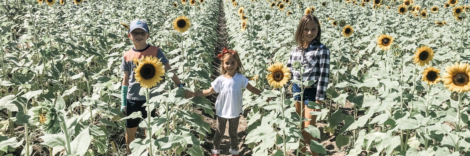 Brittany Sobering banner