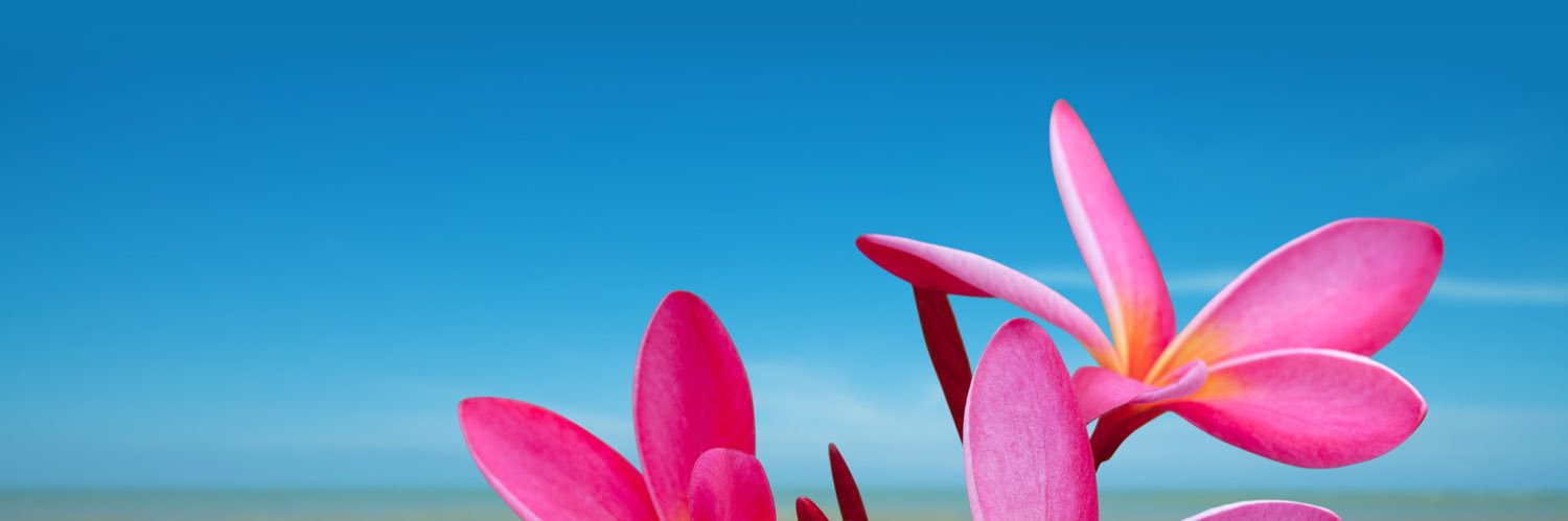 lgmanoj's profile banner image