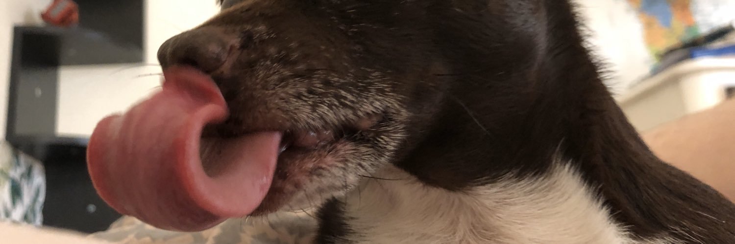 Daisyybeam's profile banner image