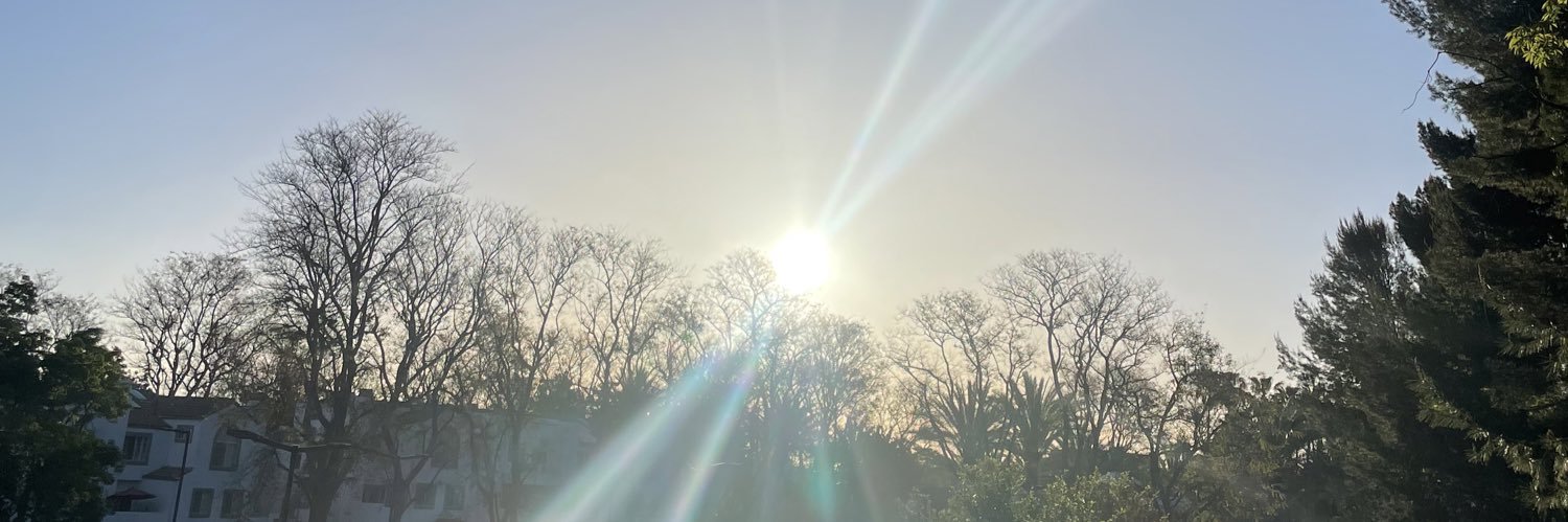 Aliaxzin's profile banner image