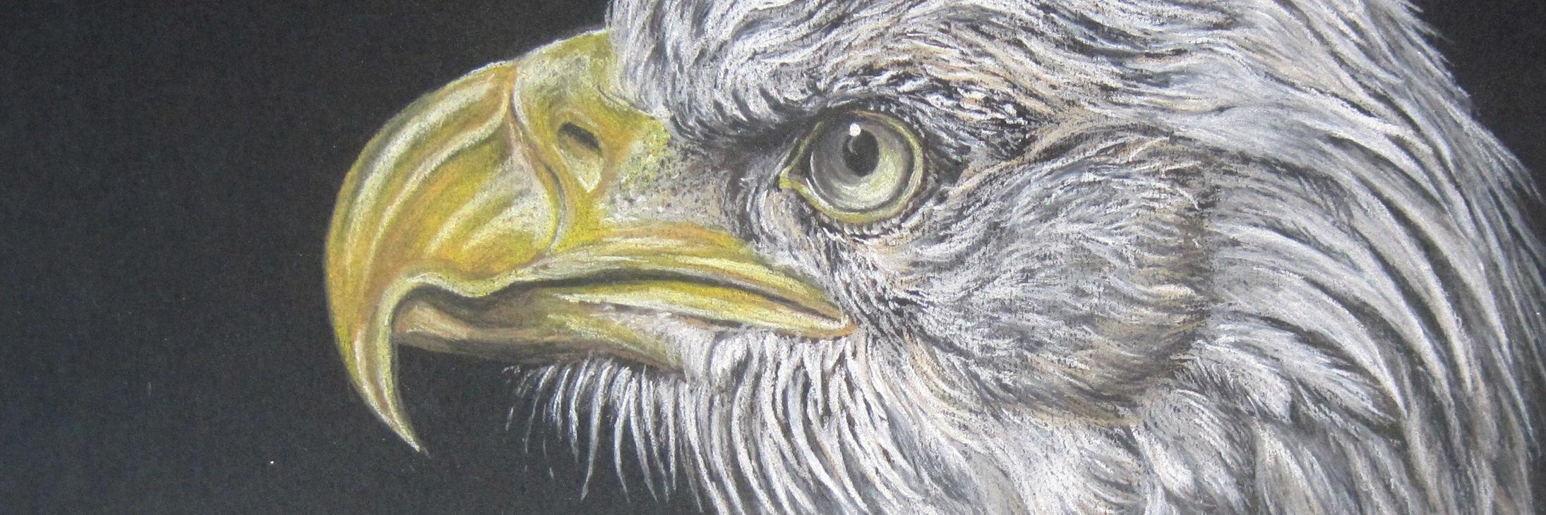 Michelle Sutton ✏🖌 banner