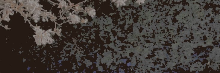 ── 𝐌𝐄𝐋𝐎𝐃𝐘 banner