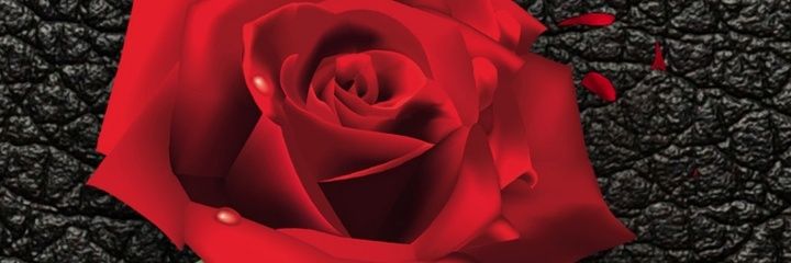 Adore2727's profile banner image