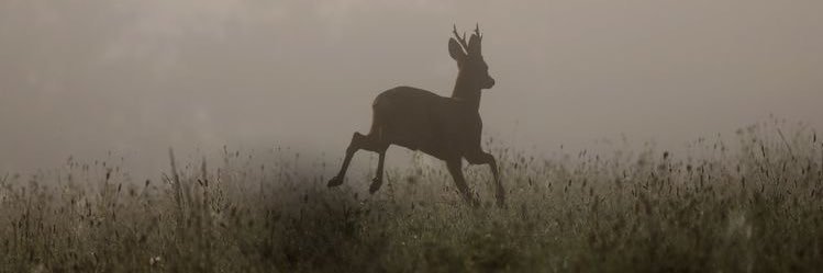 ◡◡ 재수 .ᐟ banner