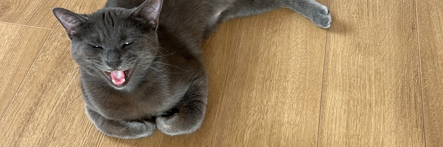 Вбитий брат дорогенької banner