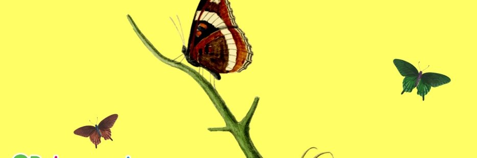 Just a harmless cute girl Rida_RubabSyd2022 banner