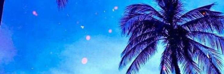 melli781's profile banner image