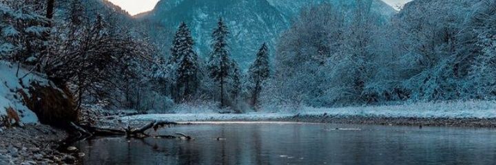 Sometime Everything banner