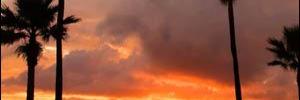MichElleOfCaLiFoRniA banner