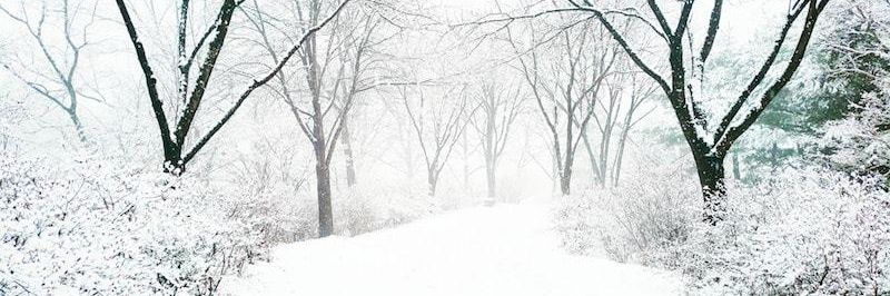 ֆɦǟɦ banner