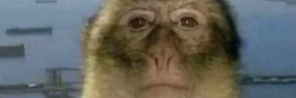 FriarsCapital Profile Banner