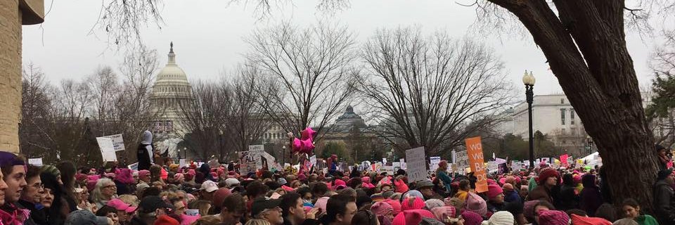 Barbara Dew Rupert banner