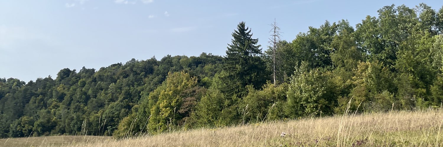 KARL ĀTMAN FILHO DA CIDADE BRANCA banner