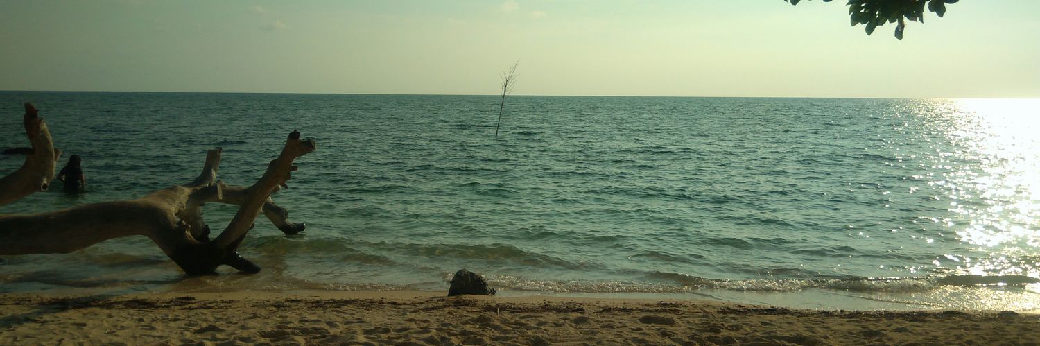 TheTrueEJ's profile banner image