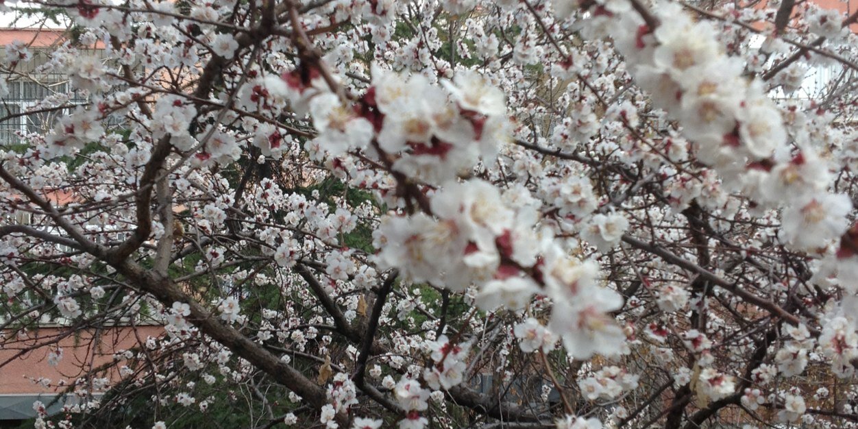 ebru_derki's profile banner image