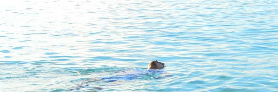 misajerjerbinks's profile banner image