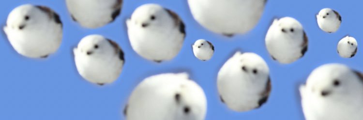 pirupiru_tune's profile banner image