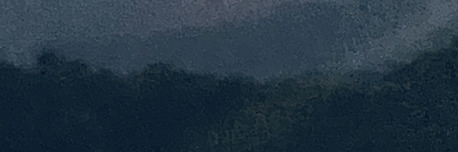 NftSiwoo's profile banner image