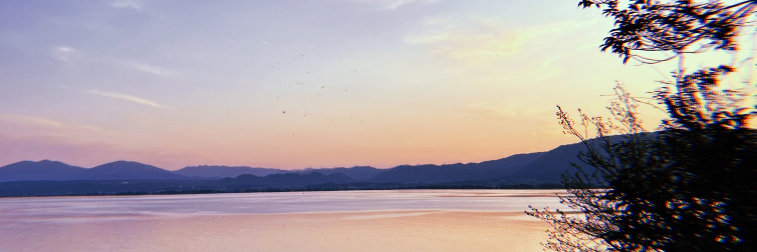 lax10halu's profile banner image
