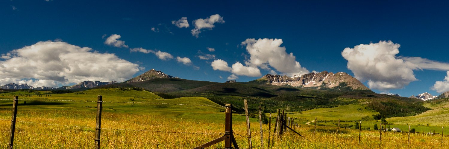 Gina Artesonne banner