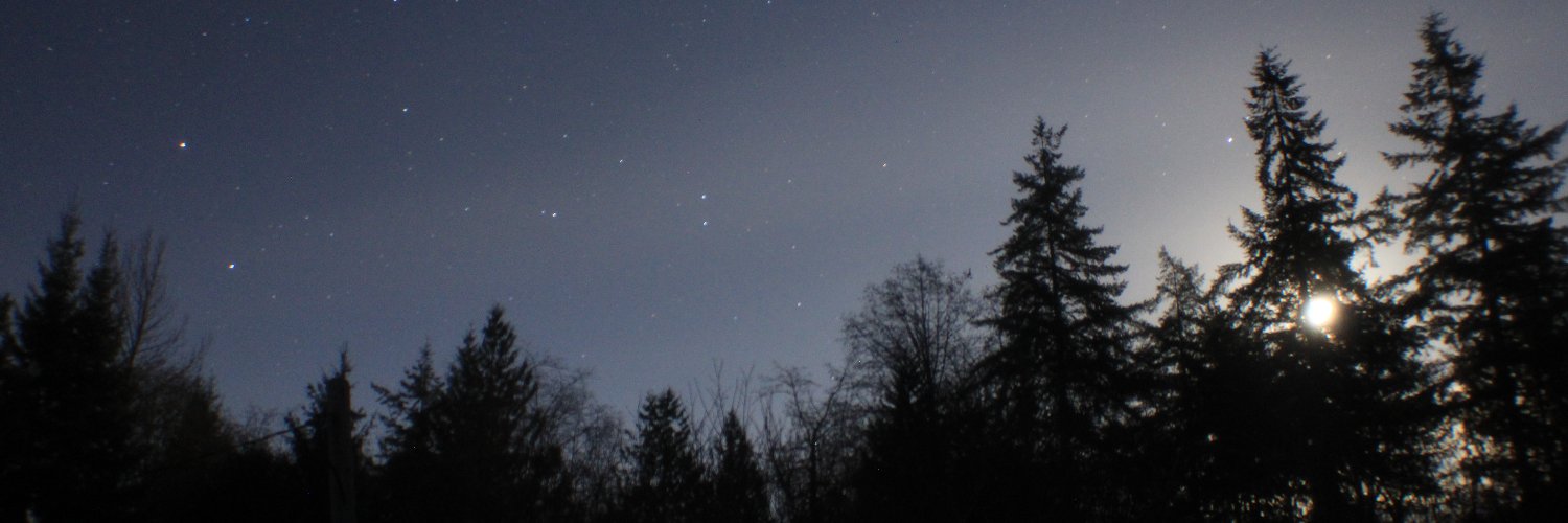 FoxNightSky's profile banner image