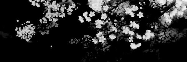 kidnull1's profile banner image