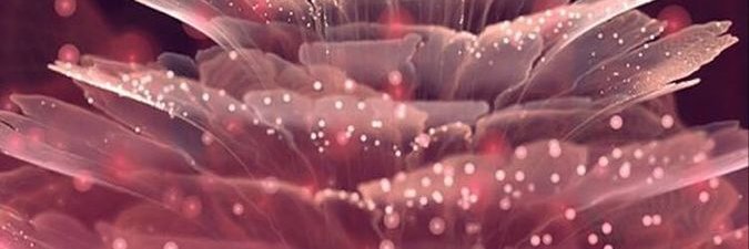 Faki Leek banner