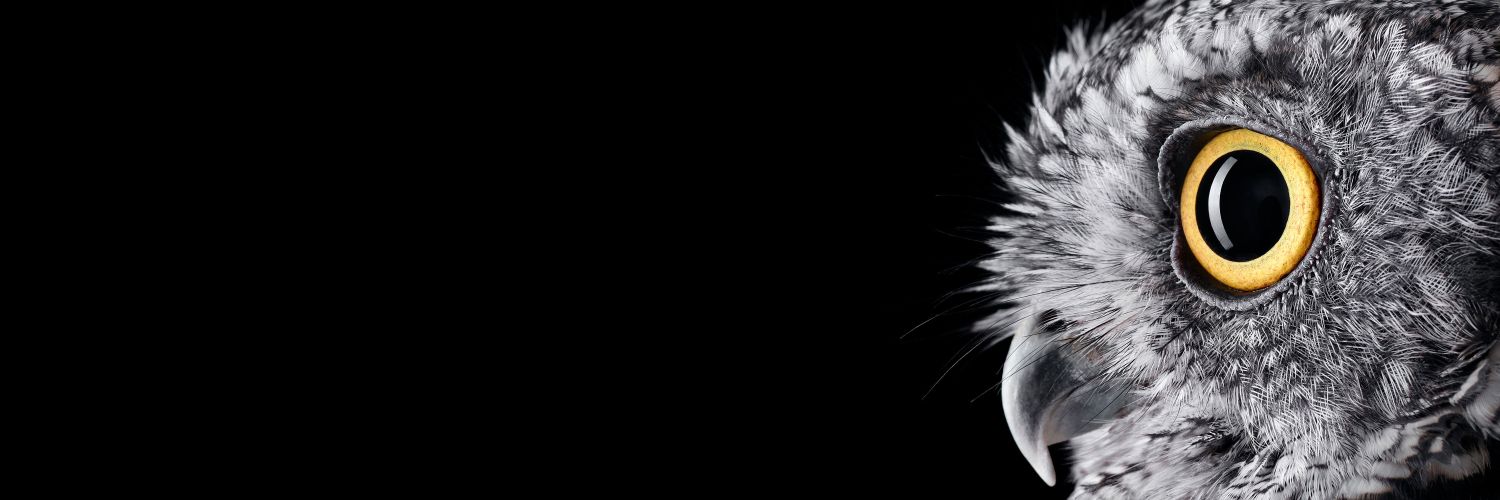 farridhusin's profile banner image