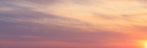 d.daywithyou banner