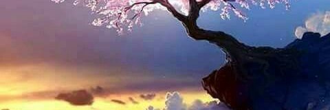 Grossbb025220's profile banner image
