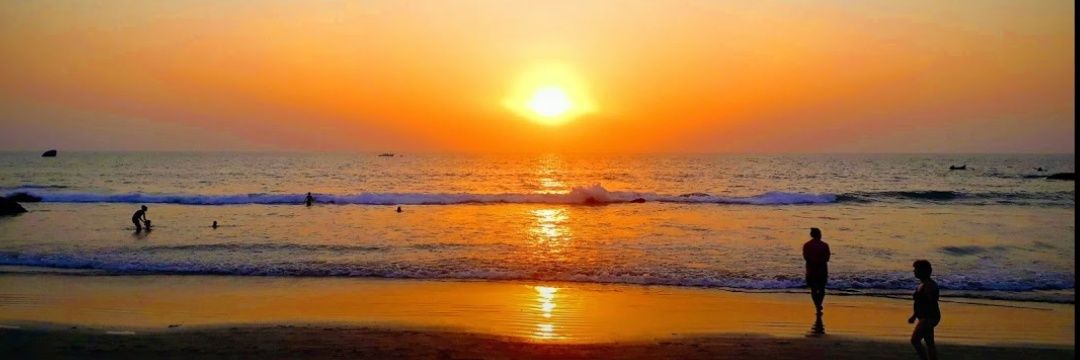 Shivani Sharma banner