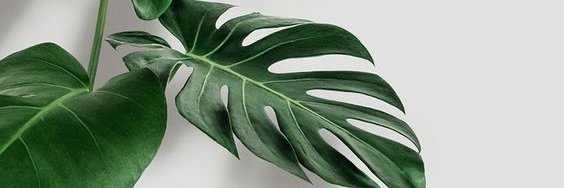 _tlyis's profile banner image