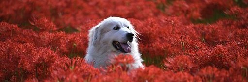 Knappbb164216's profile banner image