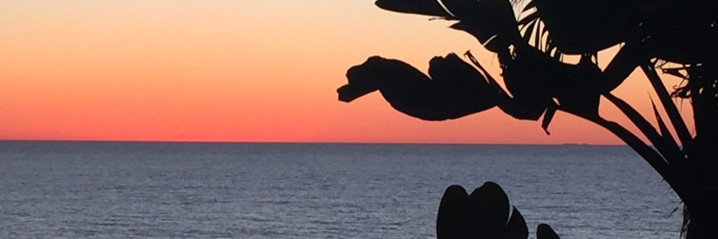 norstrom's profile banner image
