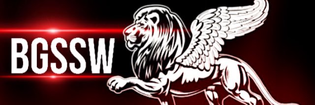 BGSSW's profile banner image