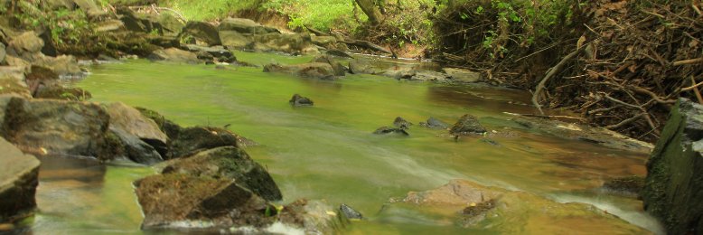 Eno River Association banner