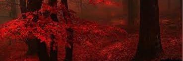 Soul_York's profile banner image